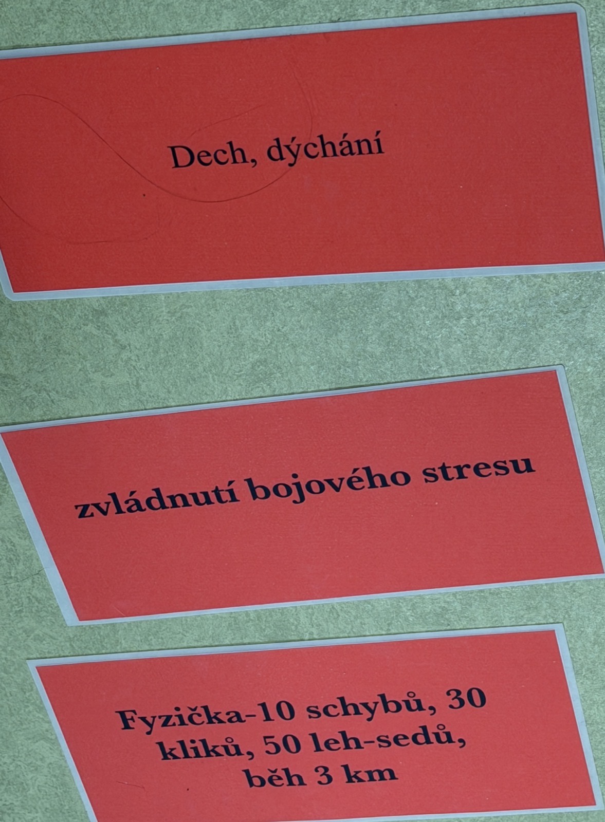 Kartičky z výcviku s kondičními čísly